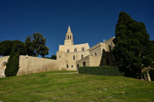 Forest Lawn