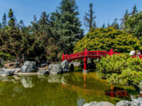 Japanese Friendship Garden Travel Forum Reviews