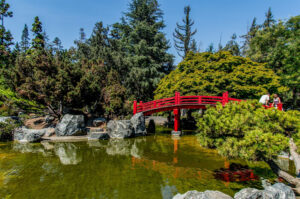 Japanese Friendship Garden