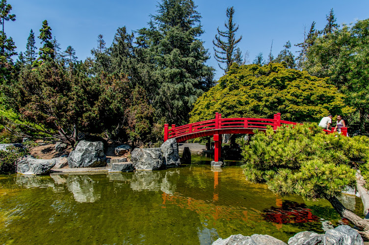 Japanese Friendship Garden Travel Forum Reviews