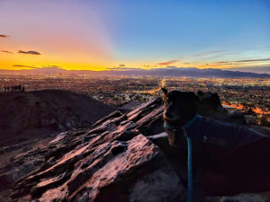 Las Vegas Skyline View