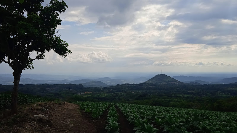 Museo del Tabaco de San Andrés Tuxtla Travel Forum Reviews