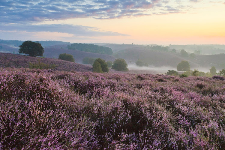 Nationaal Park Veluwezoom