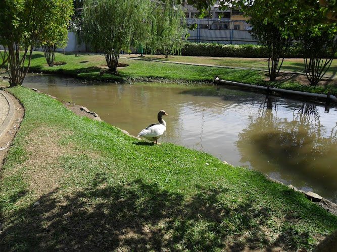 Parque Municipal do Horto de Maruípe Travel Forum Reviews