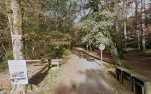 Promenade en forêt