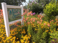 The Monet Garden Of Muskegon Travel Forum Reviews