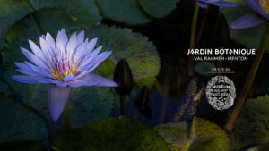 Val Rahmeh-Menton Botanical Garden