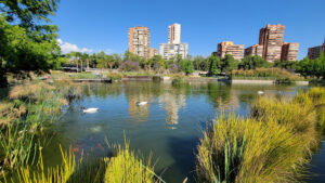 Bicentenario Park