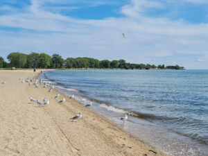 Lake Saint Clair Metropark