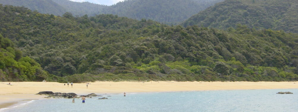 16,500ft tandem skydive over Abel Tasman Review