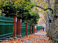 Ultimate Adelaide and Hahndorf full-day tour Review