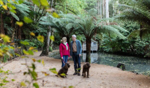 Alfred Nicholas Memorial Garden