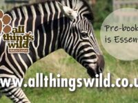 All Things Wild Travel Forum Reviews