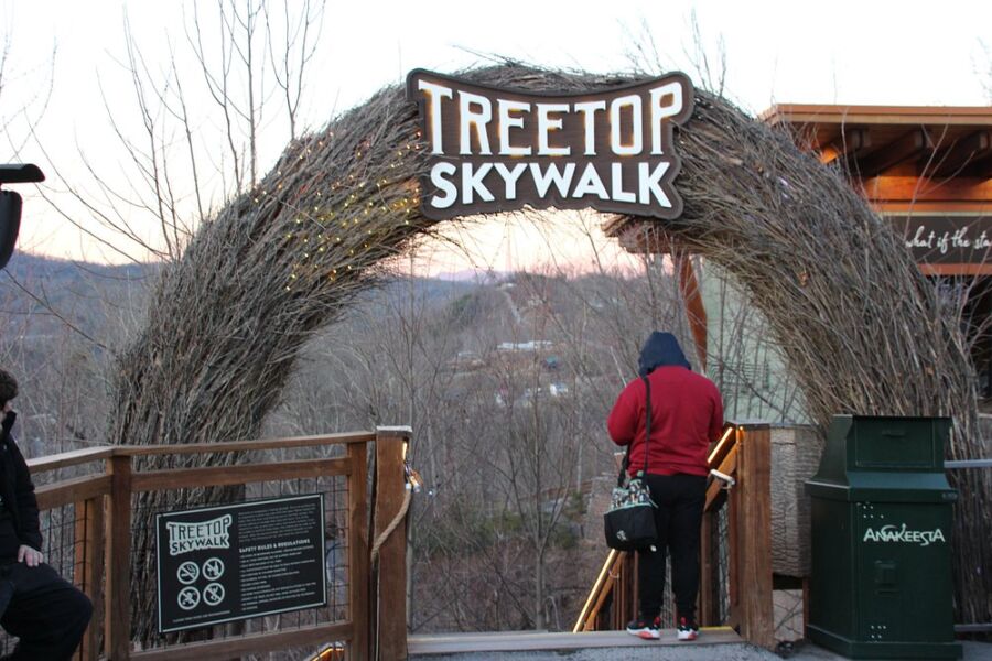 Anakeesta's Treetop Experiences entrance