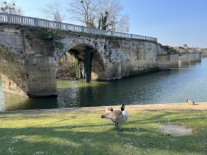 Ancien pont de Poissy