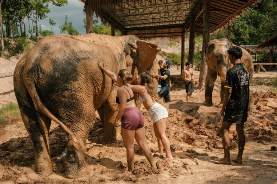 Elephant sanctuary in Ao Nang