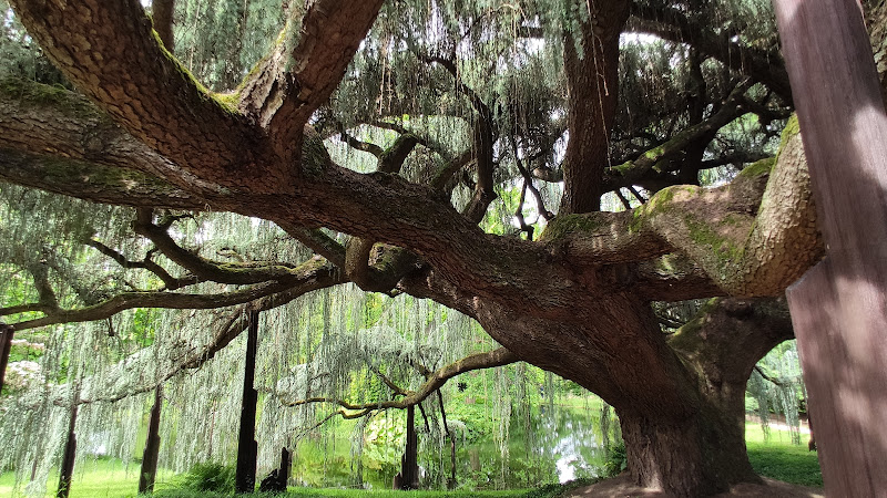 Arboretum