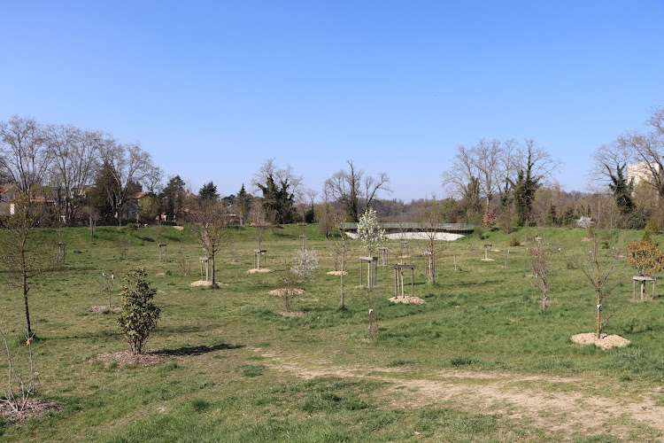 Arboretum de Sathonay-Camp