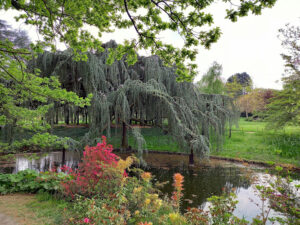 Arboretum of the Valley of Wolves