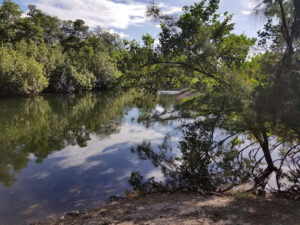 Arch Creek East Environmental Preserve (ACE Preserve)