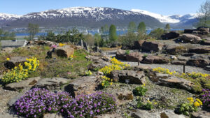 Arctic–Alpine Botanic Garden