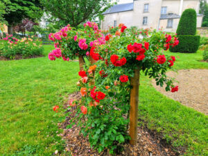 Arménie Garden