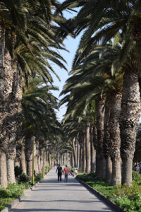 Arnold Schad Promenade