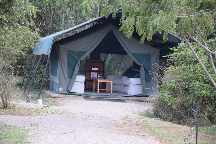 Asilia Ol Pejeta Bush Camp