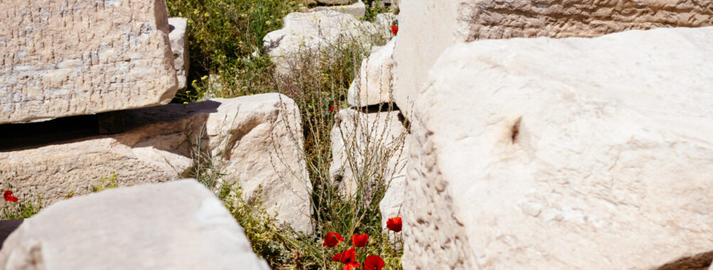 City Sightseeing hop-on hop-off bus tour of Athens Review