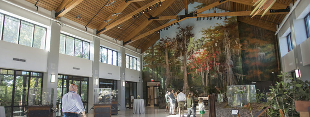 Audubon Louisiana Nature Center Travel Forum Reviews