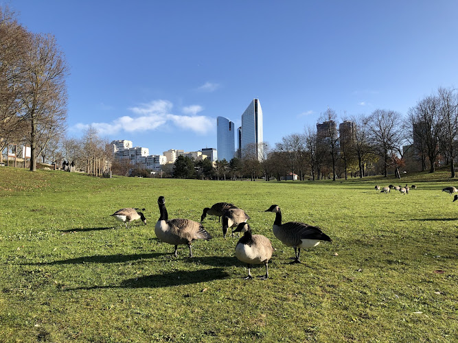 Balade parc André-Malraux