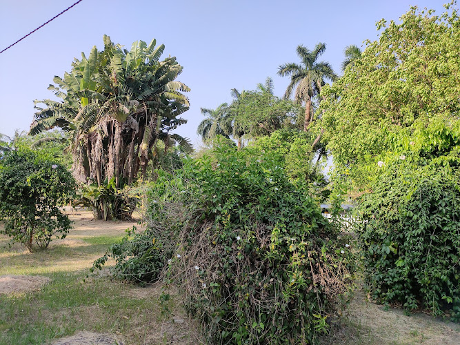 Banabitan Biodiversity Park