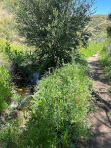 Bancroft Creek