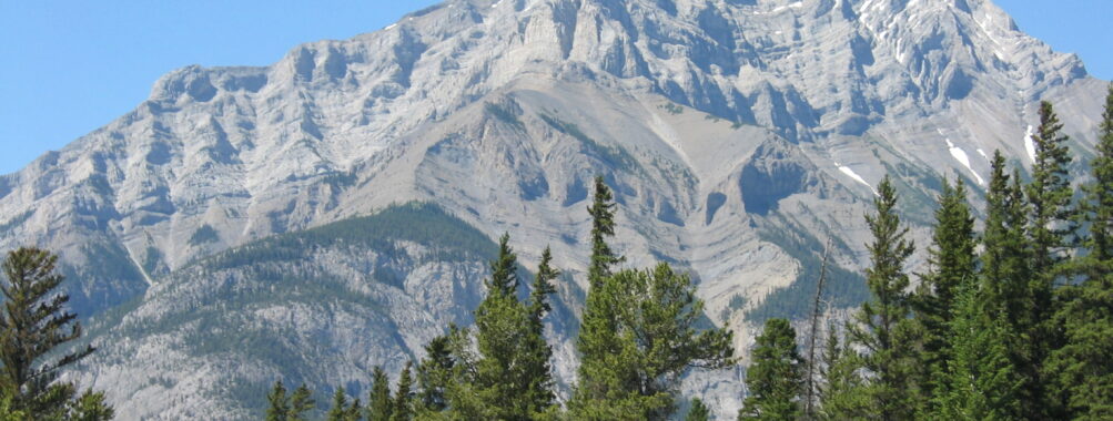 Guided hike on the Whistler via ferrata Review