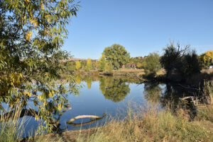 Bear Creek Greenbelt