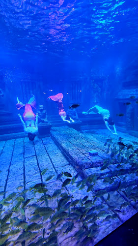 Beihai Underwater World