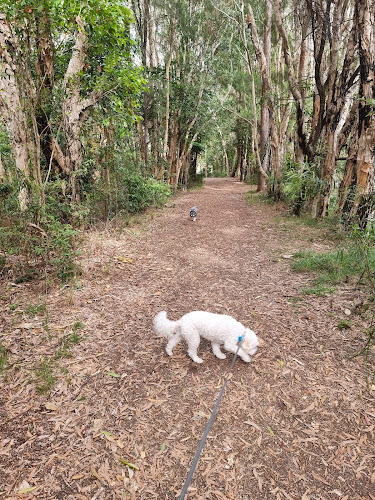 Ben Bennett Botanical Park