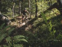 Biking tour on Ljubljana's MTB trail Review