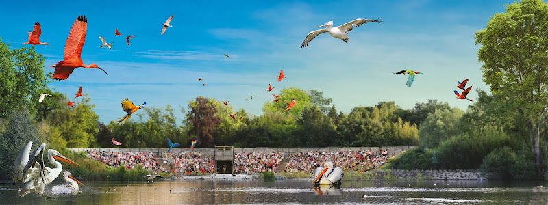 Bird park Villars les Dombes