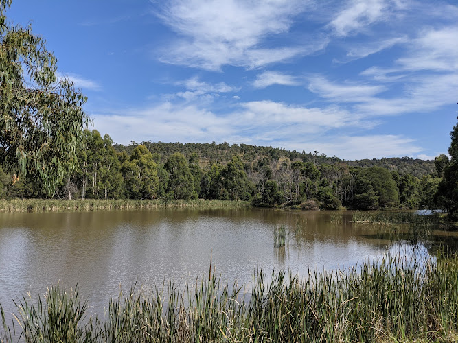 Birdsland Reserve