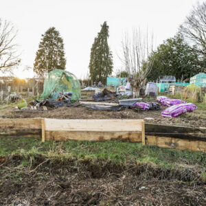 Bishop Stortford Allotment