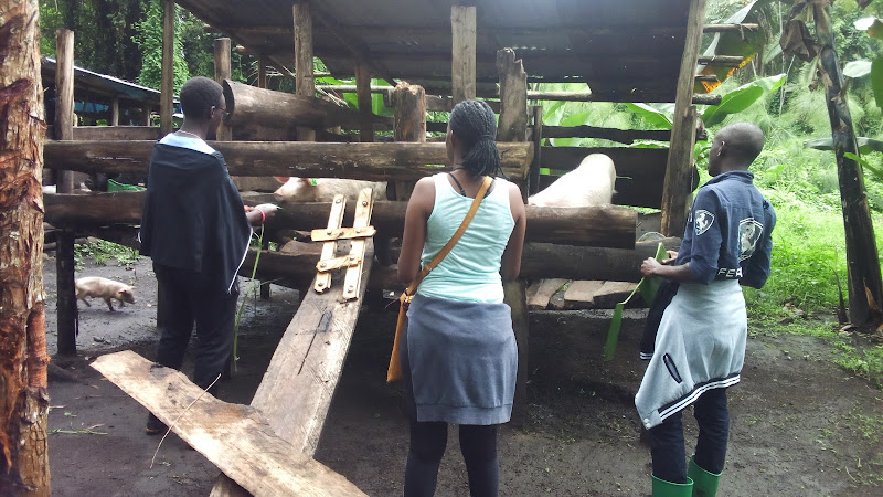 Boma Play Grounds Fort Portal