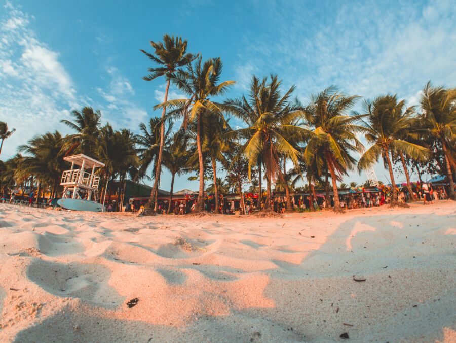 Boracay lined with coconut trees