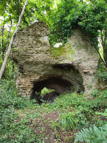 Bosco di Foragnano