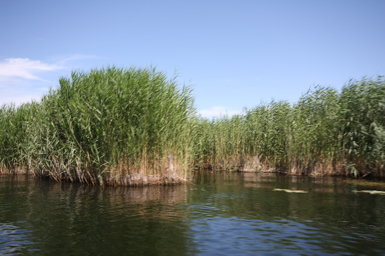 Bositeng Lake