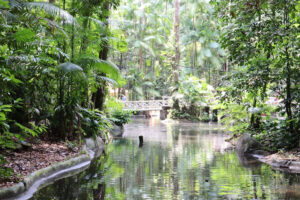 Bosque Rodrigues Alves - Amazon Zoobotanical Garden