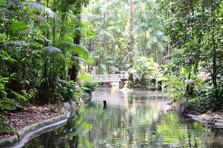 Bosque Rodrigues Alves – Amazon Zoobotanical Garden