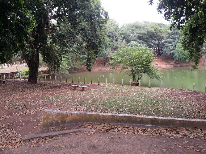 Bosque das Nascentes