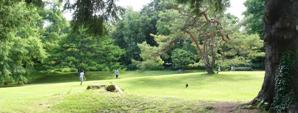 Botanic Garden Hokkaidō University Travel Forum Reviews