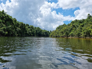 Botum Sakor National Park